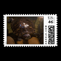 Turtle  Postage stamps