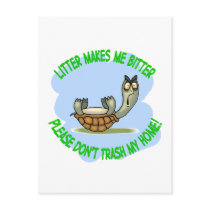 turtle post cards
