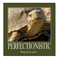 turtle posters by DakotaJoan turtle posters