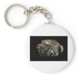 Turtle Power_David Hart Keychains