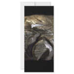 Turtle Power_David Hart Personalized Rack Card