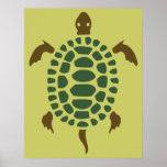 Turtle Print