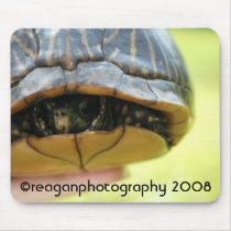 turtle, reaganphotography 2008 mousepads by reaganphotography turtle, reaganphotography 2008 mousepads
