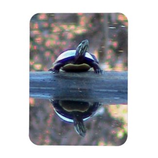Turtle reflection magnet ( flexible)