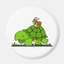 Turtle ride magnets