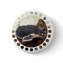 Turtle Round Button
