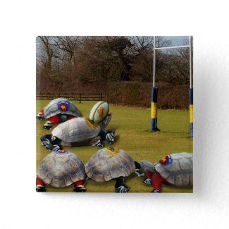 Turtle Rugby button