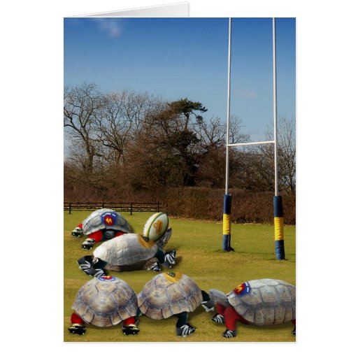 Turtle Rugby Cards