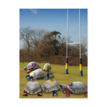 Turtle Rugby Postcards