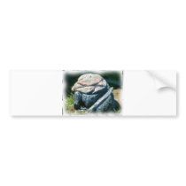 turtle sculpting_Painting bumper stickers