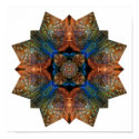 Turtle shell and blue jay collage - Print
