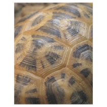 Turtle Shell Flyer