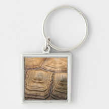 Turtle Shell Keychain