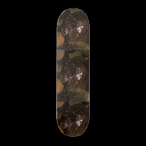 Turtle Skateboard skateboards