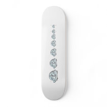 Turtle Skate Decks