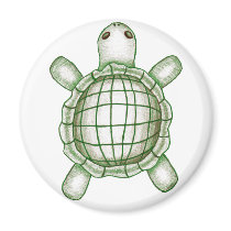 Turtle Sketch magnets