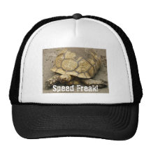Turtle, Speed Freak! Hat