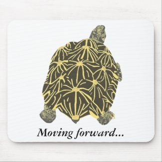 Turtle, star tortoise, painting mousepad mousepad