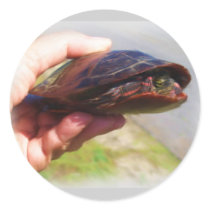 Turtle Sticker stickers