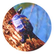 Turtle Sticker stickers