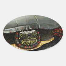 TURTLE STICKER