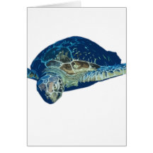 Turtle swim cards