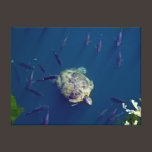 Turtle Swiming With The Fish Stretched Canvas Prin canvas prints