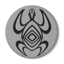Turtle Symmetry Magnets