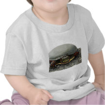 TURTLE T SHIRTS