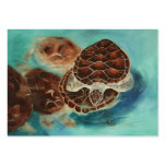 Turtle Time ArtCard Business Card Template