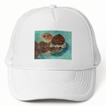 Turtle Time Hat