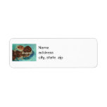 Turtle Time Return Address Labels