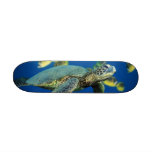 Turtle time skate decks