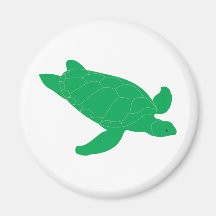 Turtle Tortoise  Amphibians Wildlife Animal Magnet