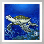 Turtle Tracks Poster