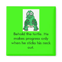Turtle Truth magnets by Jeeee11 Turtle Truth magnets