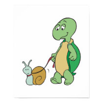 turtle with pet snail posters