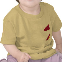 Turtle Within Turtle 2-Sided Infant T-Shirt