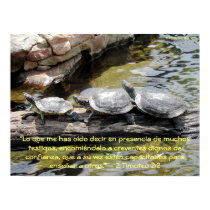 Turtles—2 Timoteo 2:2 posters