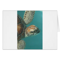 Turtles Galore cards by aandjdesigns Turtles Galore cards