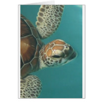 Turtles Galore cards by aandjdesigns Turtles Galore cards