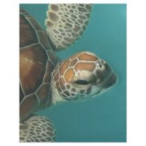 Turtles Galore letterhead by aandjdesigns Turtles Galore letterhead