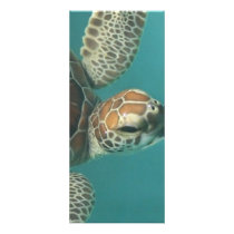 Turtles Galore rack cards by aandjdesigns Turtles Galore rack cards