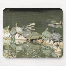 Turtles Mousepad