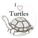 Turtles Sticker