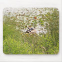 Turtles Sunbathing mousepads by Alegra Turtles Sunbathing mousepads