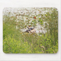 Turtles Sunbathing mousepads