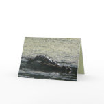 Turtles Turn Greeting Cards