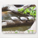 TURTLES, TURTLES, TURTLES!!! mousepads