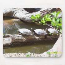 TURTLES, TURTLES, TURTLES!!! mousepads